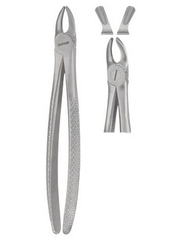 Tooth Forceps for Children  